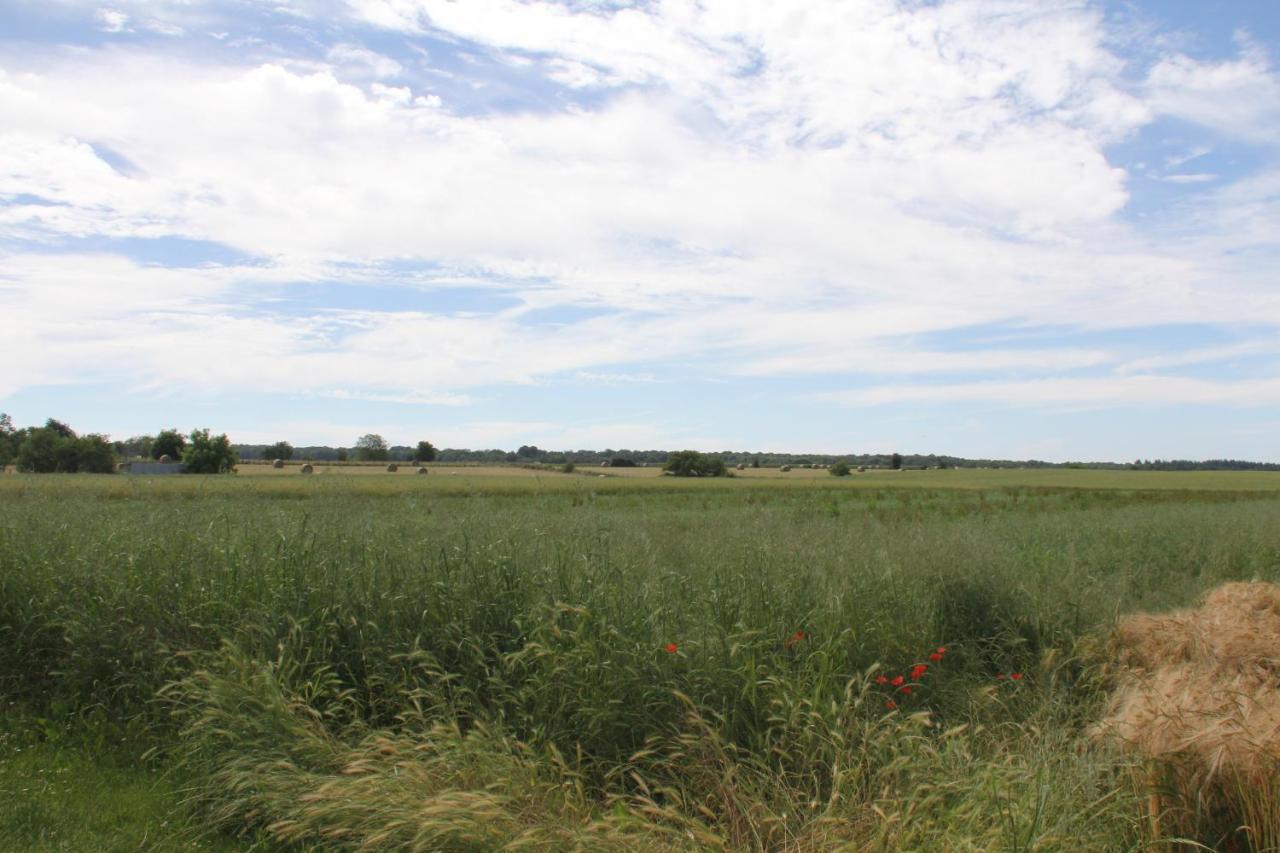 Blumereve Blumeray Buitenkant foto